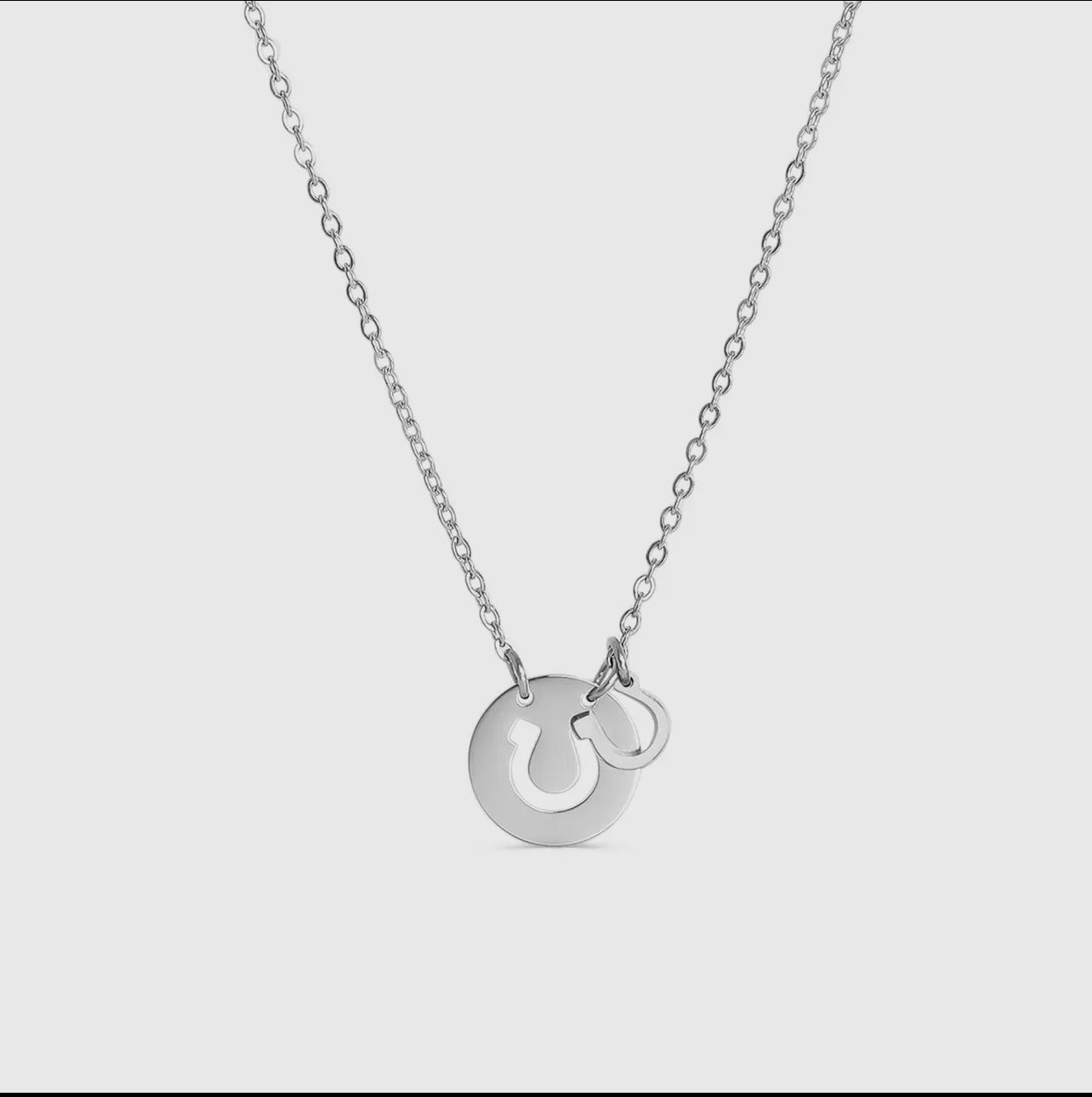 Horseshoe Necklace